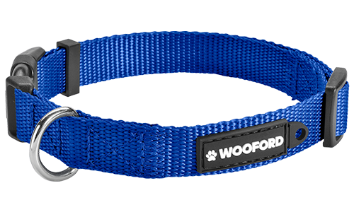 Collier pour Chien Nylon Robuste