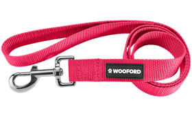 Laisse chien en nylon violet durable 120 cm, facile à nettoyer, matériau résistant et fermoir argenté sécurisé.