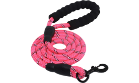 Laisse chien réfléchissante bleue, 1,5 cm x 1,5 m, corde durable et poignée rembourrée pour confort et sécurité.