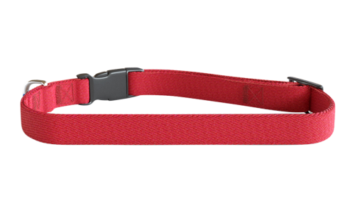 Collier chien brodé rouge, 30-46 cm x 1,5 cm, nylon léger, personnalisable avec nom et détails du chien.
