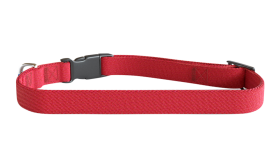 Collier pour Chien Brodé Collier chien brodé rouge, 30-46 cm x 1,5 cm, nylon léger, personnalisable avec nom et détails du chien.