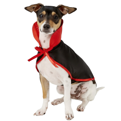 Costume de vampire pour chien, noir et rouge, avec col haut et nœud, ensemble 2-en-1, léger, durable et réglable.