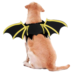 Costume pour Chien avec...