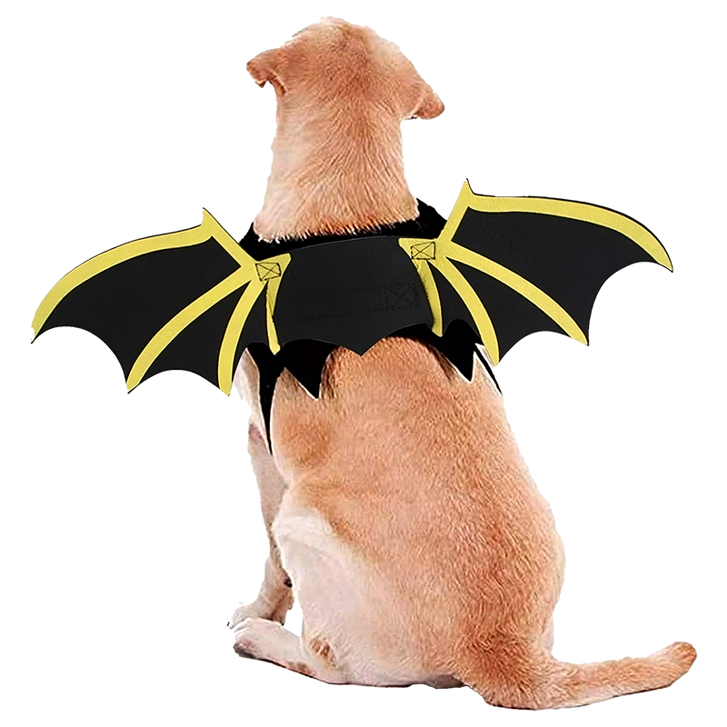 Costume pour Chien avec Ailes de Chauve-Souris