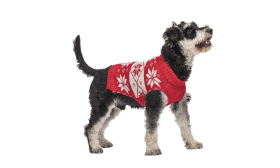 Pull d'hiver rouge pour chien, motif flocon de neige blanc, lavable, en fibres acryliques pour un confort optimal et doux.