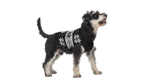 Pull d'hiver noir pour chien, motif flocon de neige blanc, lavable, en fibres acryliques pour un confort optimal et doux.