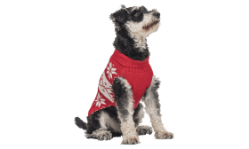 Pull d'hiver rouge pour chien, motif flocon de neige blanc, lavable, offre chaleur et style festif unique.