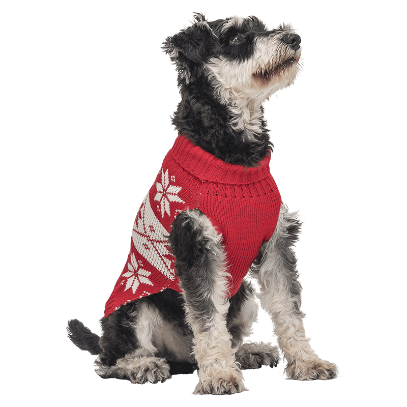 Pull d'Hiver à Motif pour Chiens Pull d'hiver rouge pour chien, motif flocon de neige blanc, lavable, offre chaleur et style festif unique.