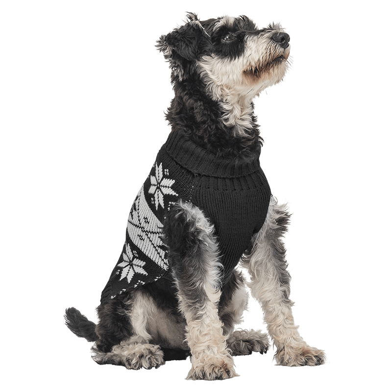 Pull d'Hiver à Motif pour Chiens Pull d'hiver noir pour chien, motif flocon de neige blanc, lavable, offre chaleur et style festif unique.