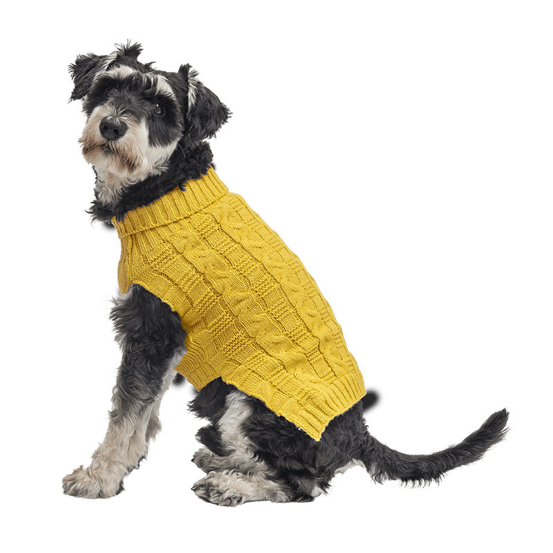 Pull en Coton Chaud pour Chiens Pull en coton chaud jaune pour chien, motif torsadé, protection supplémentaire, garde les chiens au chaud par temps froid.
