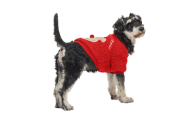 Manteau de Noël rouge pour chien avec boutons, design ours en peluche au dos, lavable, chaud et stylé.