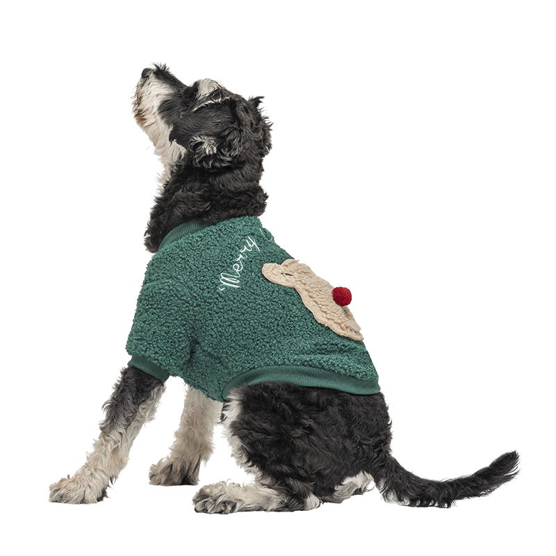 Manteau de Noël Boutonné pour Chiens Manteau de Noël vert pour chien avec boutons, design ours en peluche au dos, lavable, pour l'hiver et l'automne.