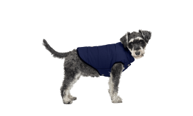 Gilet d'hiver bleu marine coupe-vent pour chien, ajustement confortable, imperméable, pour chaleur et protection.