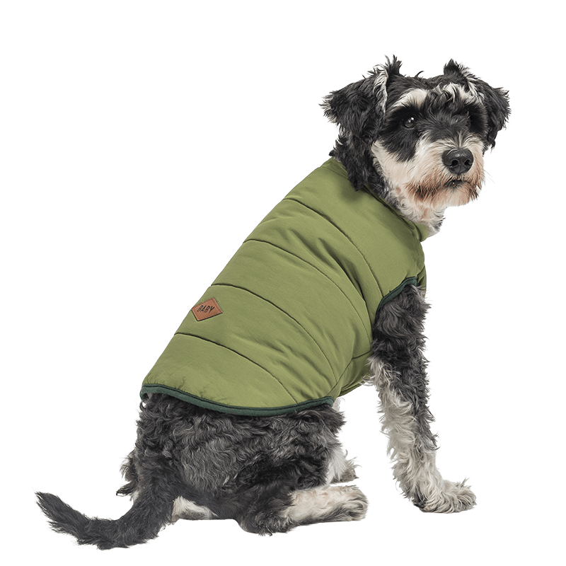 Manteau Coupe-Vent d'Hiver pour Chien Gilet d'hiver vert coupe-vent pour chien, ajustement confortable, conçu pour la chaleur et la protection.