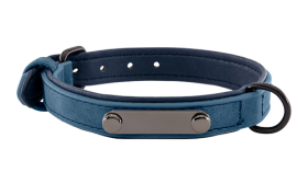 Collier chien en velours bleu de luxe avec plaque ID pour gravure du nom, 43-45 cm x 2,2 cm, avec anneau en D.