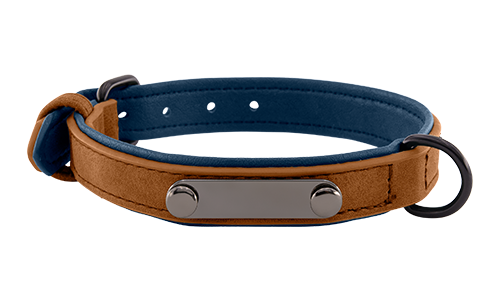Collier chien en velours marron de luxe avec plaque ID pour gravure du nom, 35-37 cm x 1,7 cm, avec anneau en D.