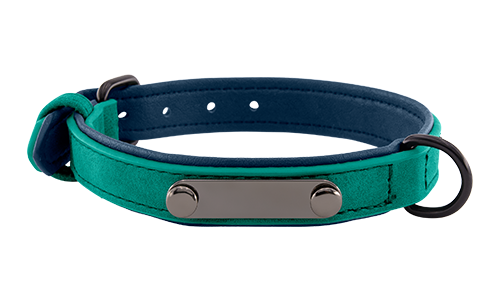 Collier chien en velours vert de luxe avec plaque ID pour gravure du nom, 35-37 cm x 1,7 cm, avec anneau en D.