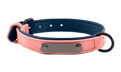 Collier chien en velours rose clair de luxe avec plaque ID pour gravure du nom, 35-37 cm x 1,7 cm, avec anneau en D.
