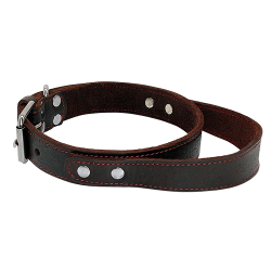 Collier chien en cuir véritable marron avec poignée rapide, durable et solide, ajustable pour un maintien pratique.