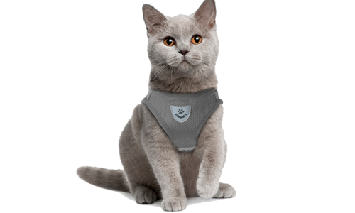 Gilet Harnais Réfléchissant pour Chat avec Laisse Harnais gris réfléchissant pour chat avec laisse assortie, élégant et sans couture, en nylon de qualité, pratique.