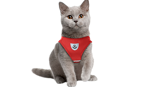 Gilet Harnais Réfléchissant pour Chat avec Laisse Harnais rouge réfléchissant pour chat avec laisse assortie, élégant et sans couture, en nylon de qualité, pratique.