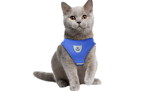 Gilet Harnais Réfléchissant pour Chat avec Laisse Harnais bleu réfléchissant pour chat avec laisse assortie, élégant et sans couture, en nylon de qualité, pratique.