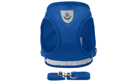 Harnais bleu réfléchissant pour chat avec laisse assortie, élégant et sans couture, robuste et durable.