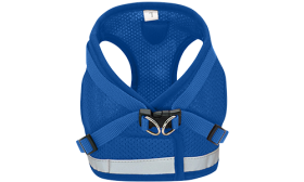 Harnais bleu réfléchissant pour chat avec laisse assortie, en maille respirante, pratique, laisse de 120 cm incluse.