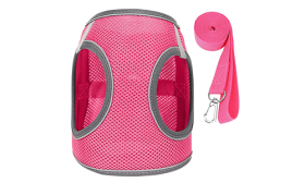 Harnais Pour Chats Harnais réfléchissant gris pour chat avec laisse assortie, ajustable et léger, 140 cm, nylon de haute qualité.