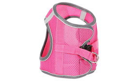 Harnais Pour Chats Harnais réfléchissant gris pour chat avec laisse assortie, léger pour confort, 140 cm, pratique et polyvalent.