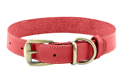 Collier chien en cuir véritable rouge avec boucle dorée ajustable, durable et solide, anneau en D pour la laisse.