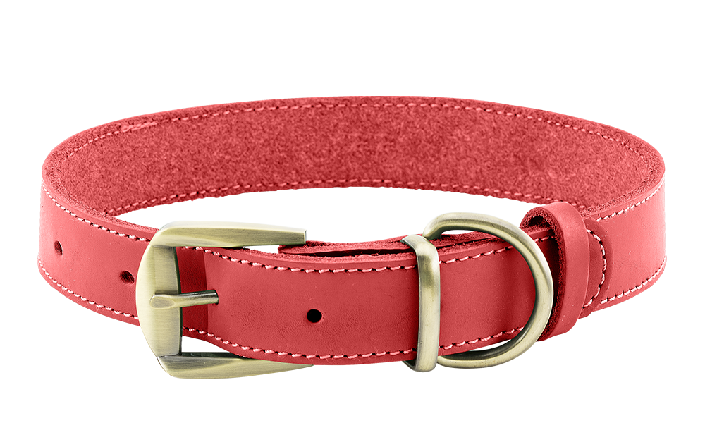 Collier pour Chien en Cuir véritable Haut de Gamme Collier chien en cuir véritable rouge avec boucle dorée ajustable, durable et solide, anneau en D pour la laisse.