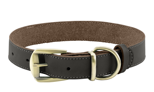 Collier chien en cuir véritable marron avec boucle dorée ajustable, durable et solide, anneau en D pour la laisse.