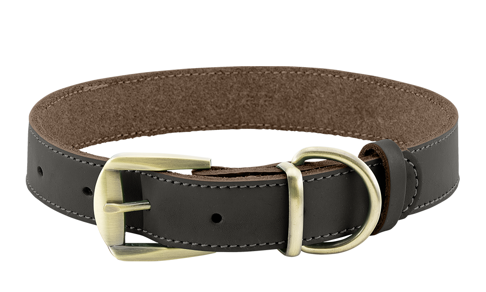 Collier pour Chien en Cuir véritable Haut de Gamme Collier chien en cuir véritable marron avec boucle dorée ajustable, durable et solide, anneau en D pour la laisse.