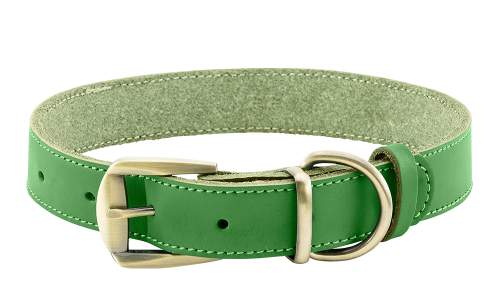 Collier chien en cuir véritable vert avec boucle dorée ajustable, durable et solide, anneau en D pour la laisse.