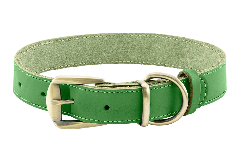 Collier pour Chien en Cuir véritable Haut de Gamme Collier chien en cuir véritable vert avec boucle dorée ajustable, durable et solide, anneau en D pour la laisse.
