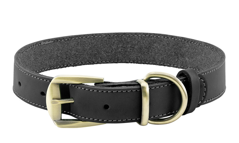Collier pour Chien en Cuir véritable Haut de Gamme Collier chien en cuir véritable noir avec boucle dorée ajustable, durable et solide, anneau en D pour la laisse.