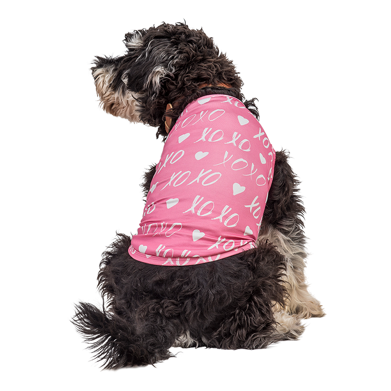 Manteau de Saint-Valentin pour Chien Chien portant un petit gilet rose thème Saint-Valentin avec cœur blanc et "XOXO", vêtement festif et stylé.
