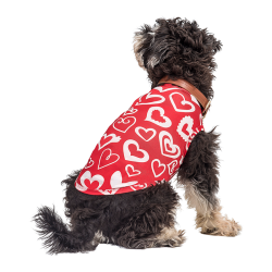 Chien portant un gilet rouge thème Saint-Valentin avec cœur rouge et blanc, vêtement festif et stylé pour chien.