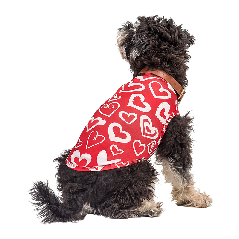 Manteau de Saint-Valentin pour Chien Chien portant un gilet rouge thème Saint-Valentin avec cœur rouge et blanc, vêtement festif et stylé pour chien.