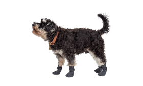 Ensemble de quatre chaussettes de sport pour chien gris avec semelles antidérapantes, légères, facile à nettoyer.