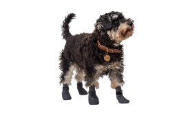 Ensemble de quatre chaussettes de sport pour chien gris avec semelles antidérapantes, légères, caoutchouc antidérapant.