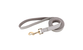 Kit harnais argenté pour chien avec collier et laisse assortis, léger, boucle dorée, ajustable pour un confort optimal.