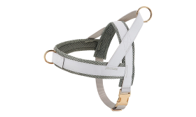 Kit harnais argenté pour chien avec collier et laisse assortis, léger, durable et long-lasting, accessoire tendance.