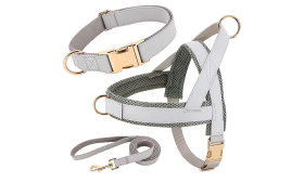 Kit harnais argenté pour chien avec collier et laisse assortis, léger, boucles dorées et D-ring pour durabilité.