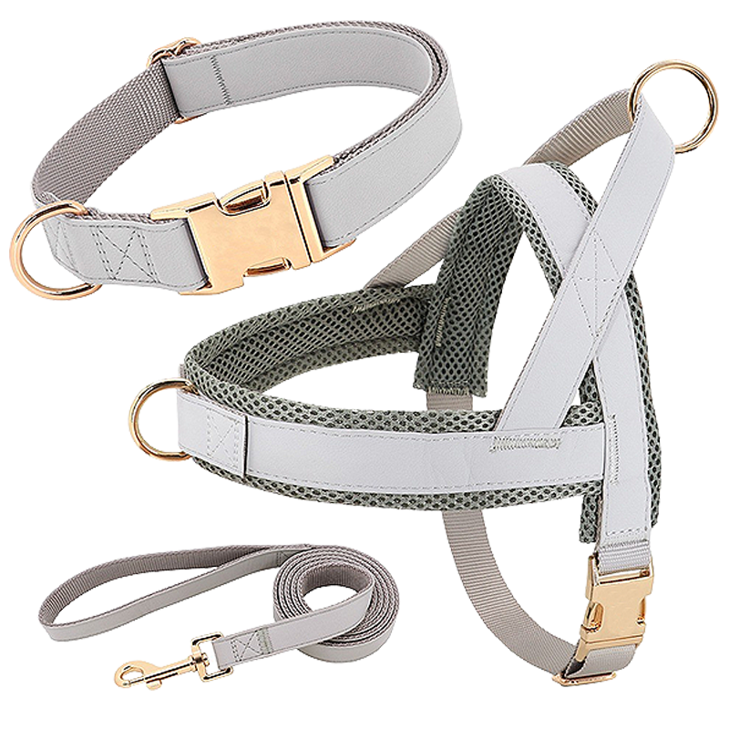 Ensemble avec Harnais, Collier et Laisse pour Chien Kit harnais argenté pour chien avec collier et laisse assortis, léger, boucles dorées et D-ring pour durabilité.