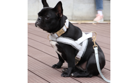 Kit harnais argenté pour chien avec collier et laisse assortis, léger, durable et long-lasting, look stylé et coordonné.