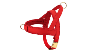 Kit harnais rouge pour chien avec collier et laisse assortis, léger, durable et long-lasting, accessoire tendance.