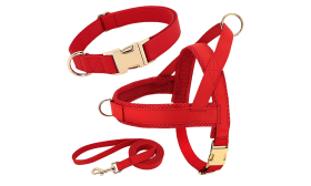 Kit harnais rouge pour chien avec collier et laisse assortis, léger, boucles dorées et D-ring pour durabilité.
