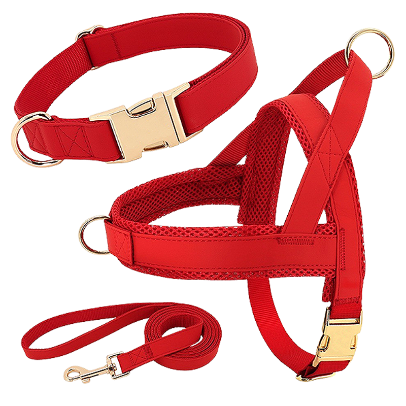 Ensemble avec Harnais, Collier et Laisse pour Chien Kit harnais rouge pour chien avec collier et laisse assortis, léger, boucles dorées et D-ring pour durabilité.